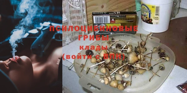 apvp Алексеевка