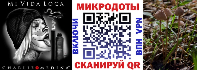 Псилоцибиновые грибы прущие грибы  Сосновый Бор 