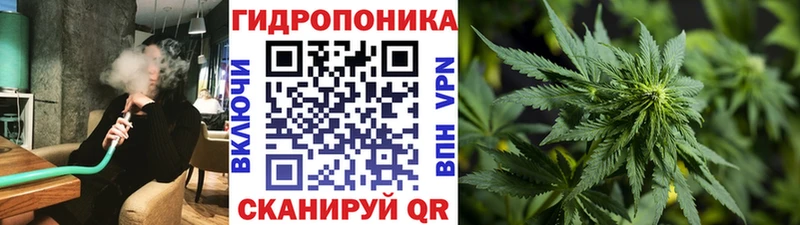 Канабис SATIVA & INDICA Сосновый Бор